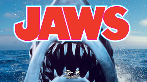 JAWS ticket