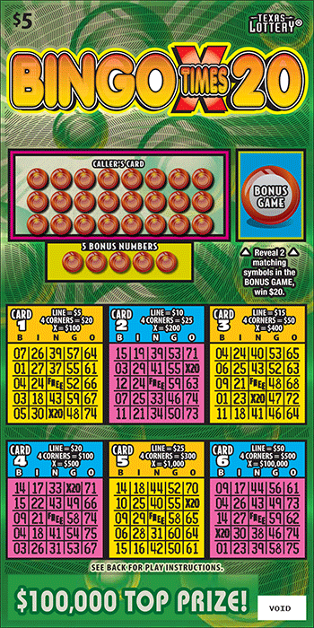 Bingo Times 20 ticket