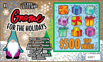 Gnome for the Holidays ticket